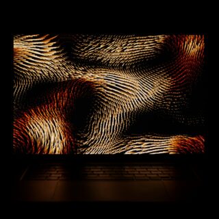 black and white zebra pattern