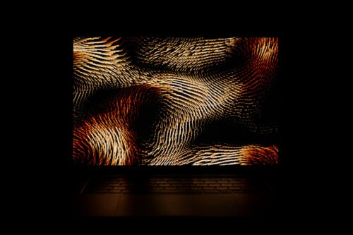 black and white zebra pattern