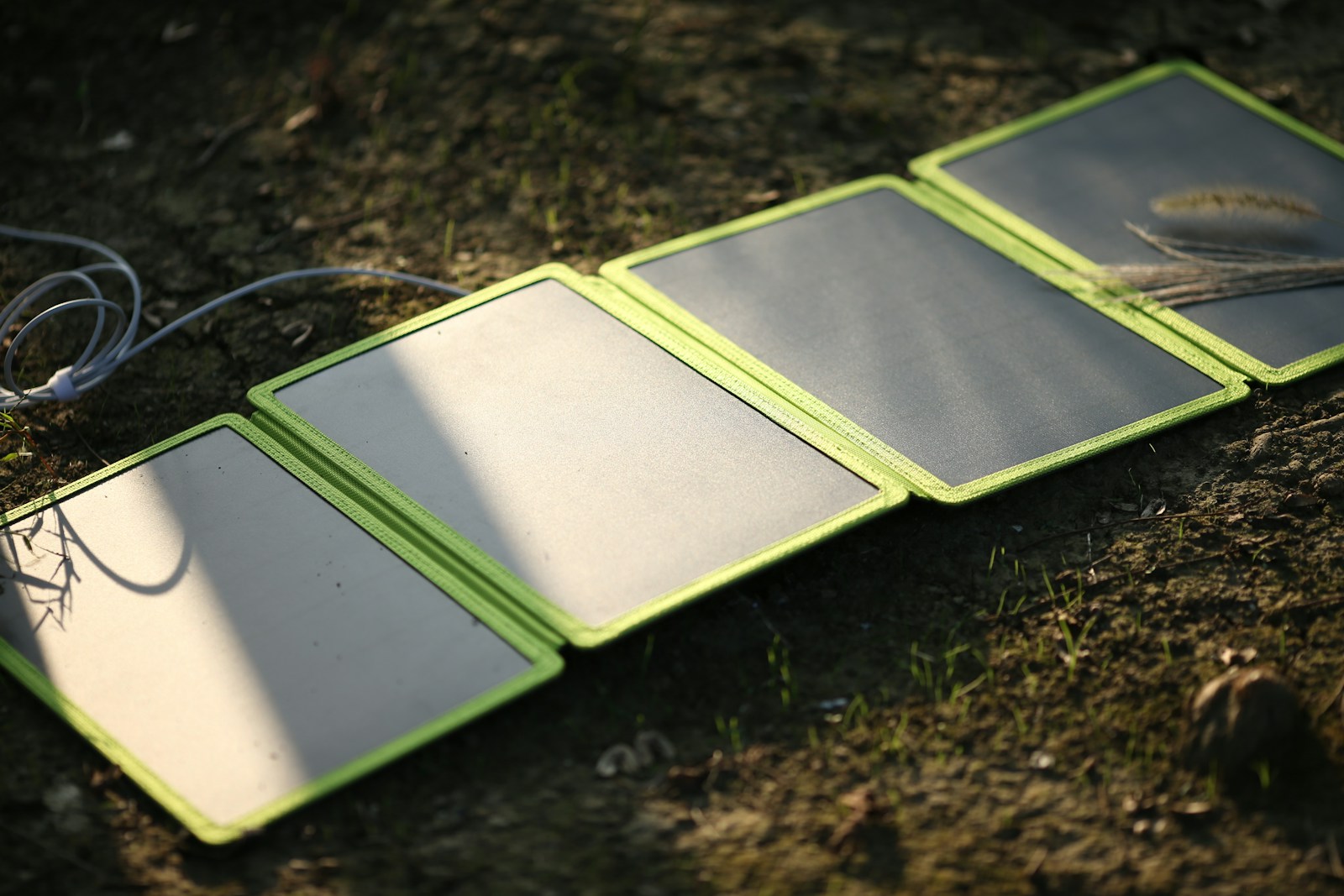 a group of green rectangular objects on dirt