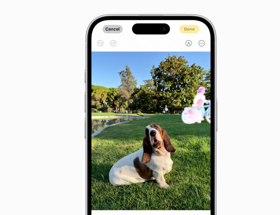 写真アプリのクリーンアップ機能